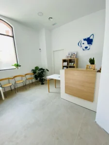 Vivavet - Clínica veterianria en Santa Cruz de Tenerife (1)